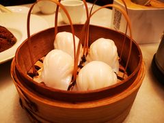 -金鼎轩(方庄天坛店)