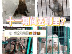 -保定市动物园