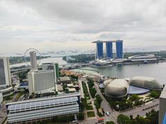 -新加坡瑞士史丹福酒店