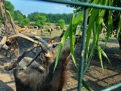 -溱湖国家湿地公园