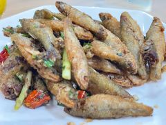 -品雅轩农家乐