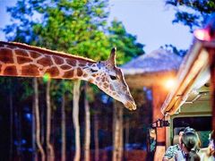 -清迈夜间动物园