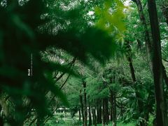 -人民公园(罗湖区)