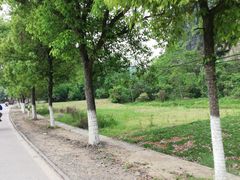 -椿记烧鹅(叠彩店)