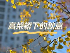 -漕溪路(地铁站)