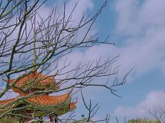 -海南铜鼓岭景区