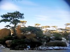 -罗红摄影艺术馆