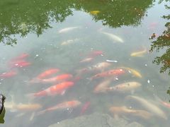 -津武刁馋一锅出(双街店)
