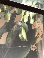 点击看大图 -宝生月子中心(独栋园林·福田店)