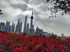 -北外滩滨江绿地