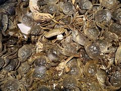 -欢乐牧场海鲜烤肉自助(牡丹园店)