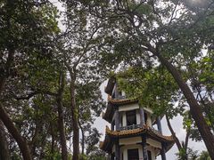 -赭山公园