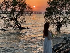 -宝安西湾红树林湿地公园