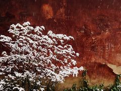 -南岳衡山风景名胜区-南岳大庙