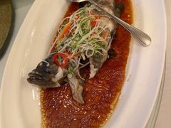 -老洋房花园饭店(绍兴路店)