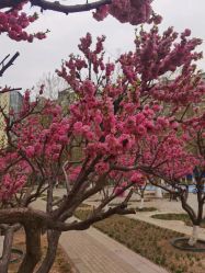 -自然美Natural Beauty