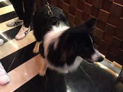 -MRX狼人杀俱乐部(黄浦店)