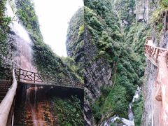 -鹿院坪生态旅游景区