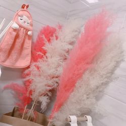 -Yukina Plus专业日式美肌