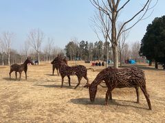 -北京西山国家森林公园