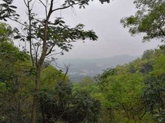 -大屏嶂森林公园