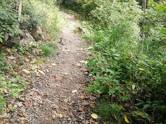 -云岫谷游猎自然风景区