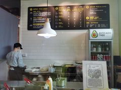 -油梨树AVOCADO TREE(顺义新国展店)