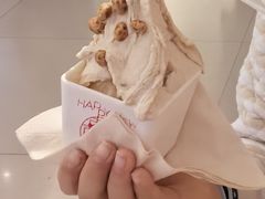 -野人先生现做冰淇淋(北京王府井东方新天地店)