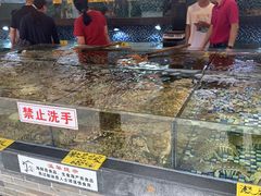 -顺德了能馆(虎门店)