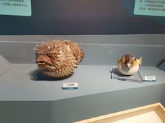 -浙江自然博物院(杭州馆)