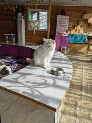 -萌宠亲子动物乐园(槐房万达店)