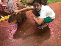 -正佳雨林生态植物园