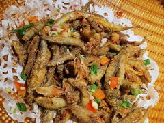 -大榕树下顺德菜(融创茂店)