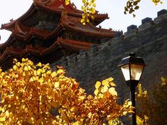 -东华门大街小区