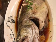 清蒸鳜鱼-九华山聚龙大酒店