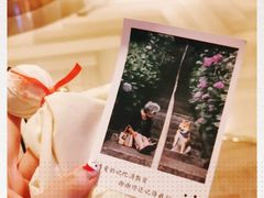 -MRX狼人杀俱乐部(黄浦店)