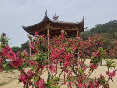 -南国桃园旅游度假区