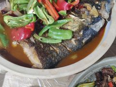 鱼头火锅-龙小海荆沙鸽子店(瑞安街店)