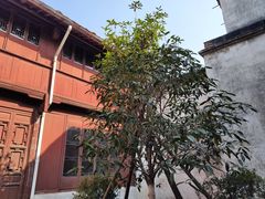 -乌镇东栅景区