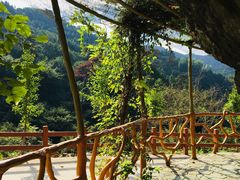 -磐安舞龙峡景区