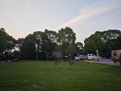 -不觉晓CAMPING(上海迪士尼营地店)