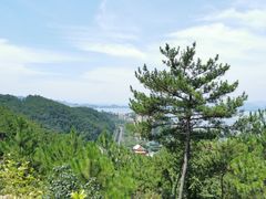 -千岛湖天屿景区