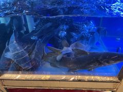 -老阿爸鲜鱼土菜(昆山花桥店)