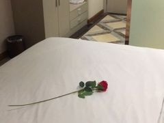 -麗枫酒店(成都理工大学地铁站店)