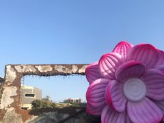 -Cafe Aewol Monsant