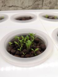 -摩睫+皮肤管理·科学美容中心