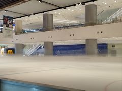 -TheRink大零溜冰场(IFS国金中心店)