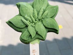 -八大处公园