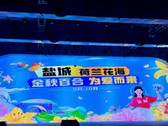 -荷兰花海