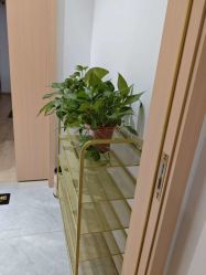 -奥本瑜伽·普拉提